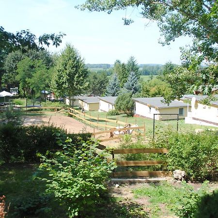 Bungalows Zur Alten Faehre Werder  Cameră foto